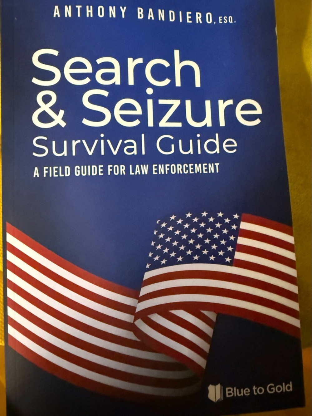Search & Seizure Survival Guide by Anthony Bandiero